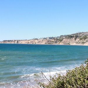 Meet your Posher, Keila